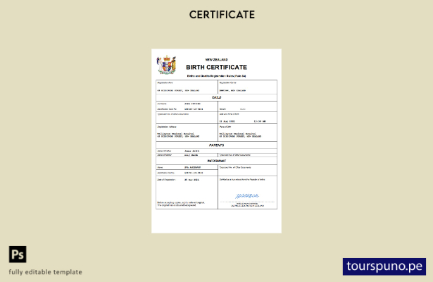 listo para imprimir certificado de nacimiento de Nueva Zelanda Plantilla en Word