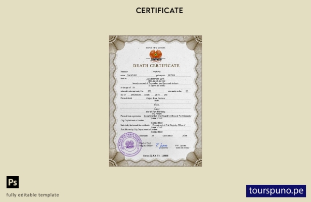 listo para imprimir plantilla PSD de certificado de defunción de Papua Nueva Gui