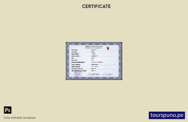 listo para imprimir plantilla PSD de certificado de nacimiento de registro ci 10
