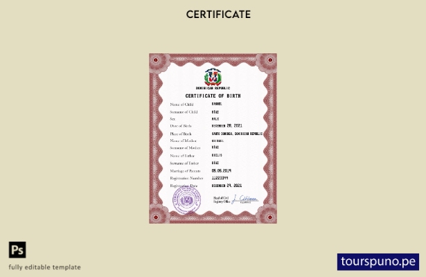 listo para imprimir plantilla PSD de certificado de nacimiento de registro ci 19