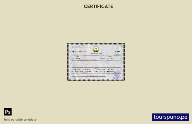listo para imprimir plantilla PSD de certificado de nacimiento de registro ci 20