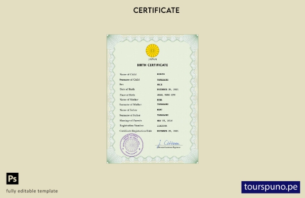 listo para imprimir plantilla PSD de certificado de nacimiento de registro ci 29