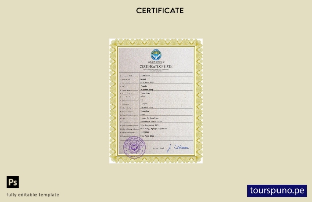 listo para imprimir plantilla PSD de certificado de nacimiento de registro ci 32