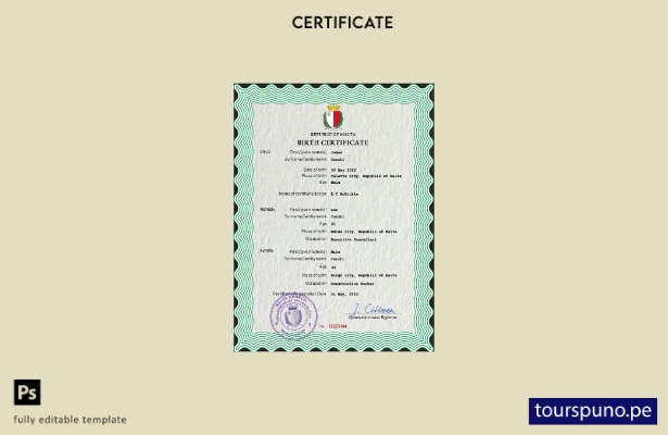listo para imprimir plantilla PSD de certificado de nacimiento de registro ci 37