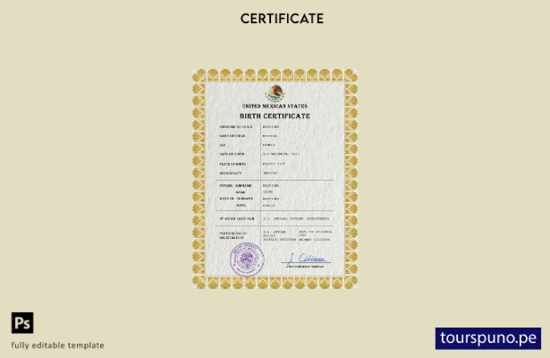 listo para imprimir plantilla PSD de certificado de nacimiento de registro ci 39