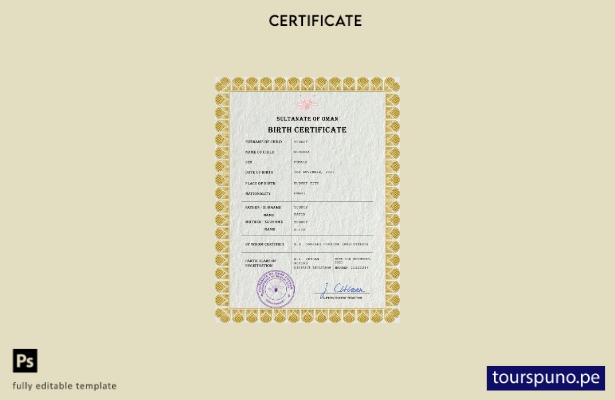 listo para imprimir plantilla PSD de certificado de nacimiento de registro ci 45