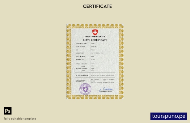 listo para imprimir plantilla PSD de certificado de nacimiento de registro ci 55