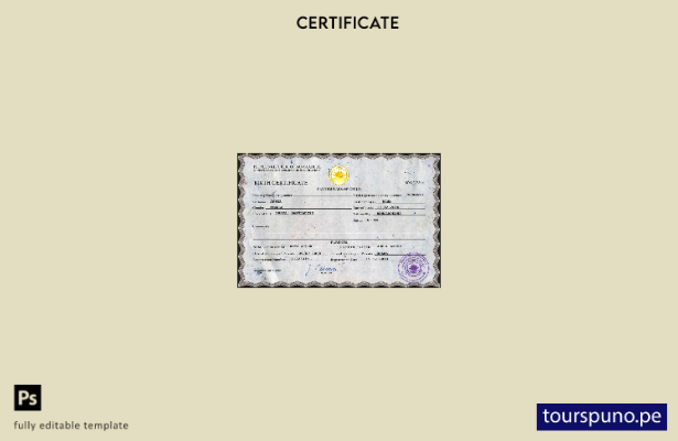 listo para imprimir plantilla PSD de certificado de nacimiento de registro civ 4
