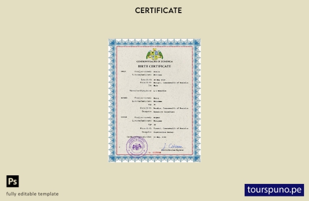 listo para imprimir plantilla PSD de certificado de nacimiento de registro vi 10