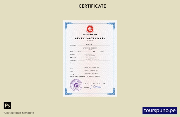 listo para imprimir plantilla PSD de certificado de nacimiento de registro vi 15