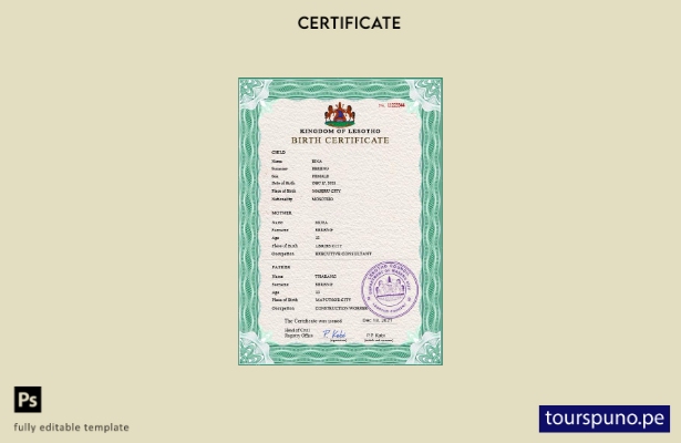 listo para imprimir plantilla PSD de certificado de nacimiento de registro vi 20