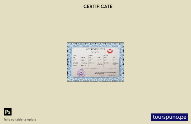 listo para imprimir plantilla PSD de certificado de nacimiento de registro vit 5