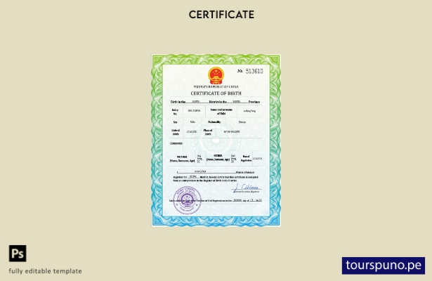 listo para imprimir plantilla PSD de certificado de nacimiento de registro vit 7