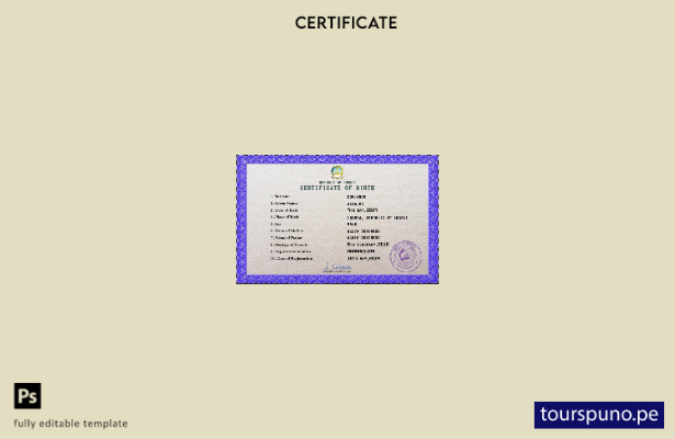 listo para imprimir plantilla PSD de certificado de nacimiento de registro vital