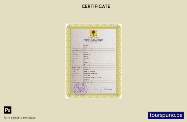 listo para imprimir plantilla PSD de certificado de nacimiento del registro ci 2