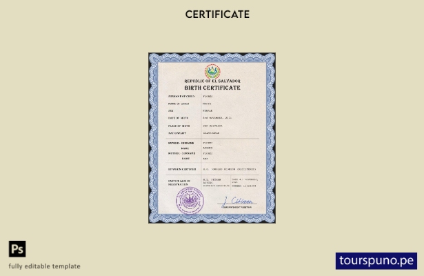 listo para imprimir plantilla PSD de certificado de nacimiento del registro ci 3