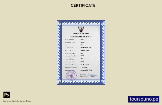 listo para imprimir plantilla PSD de certificado de nacimiento del registro ci 9