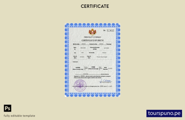 listo para imprimir plantilla PSD de certificado de nacimiento del registro vita