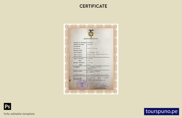 listo para imprimir plantilla PSD del certificado de defunción del registro c 16