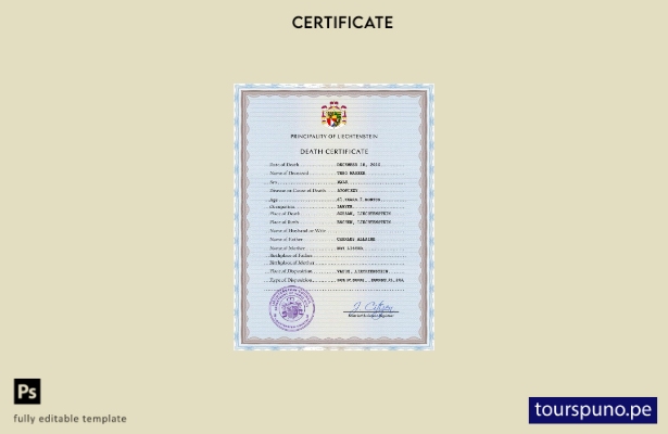 listo para imprimir plantilla PSD del certificado de defunción del registro c 49