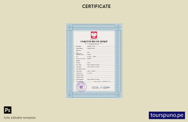 listo para imprimir plantilla PSD del certificado de defunción del registro c 73