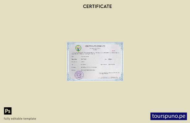 listo para imprimir plantilla PSD del certificado de defunción del registro c 76