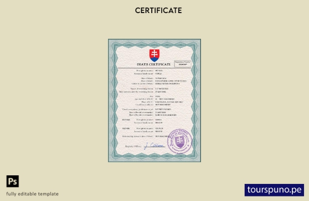 listo para imprimir plantilla PSD del certificado de defunción del registro c 84