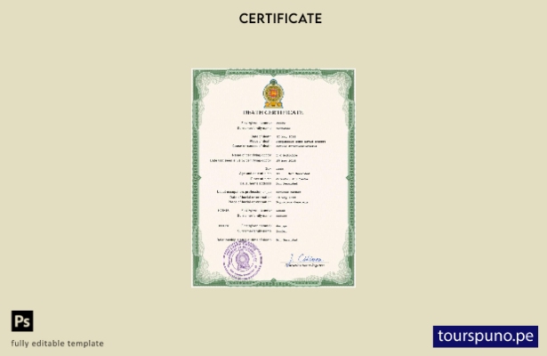 listo para imprimir plantilla PSD del certificado de defunción del registro c 86