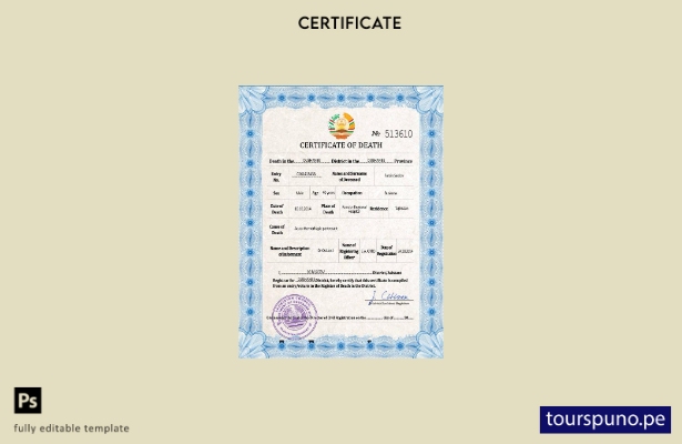 listo para imprimir plantilla PSD del certificado de defunción del registro c 89