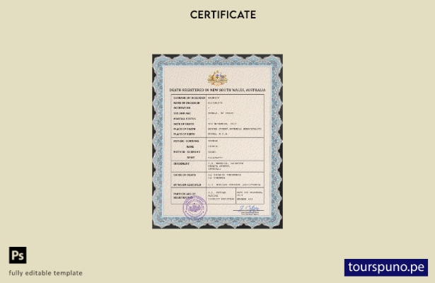listo para imprimir plantilla PSD del certificado de defunción del registro ci 3