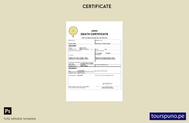 listo para imprimir plantilla de Word y PDF del certificado de defunción de Japó