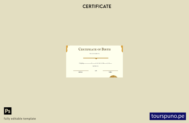 listo para imprimir plantilla de certificación de nacimiento