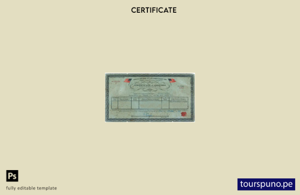 listo para imprimir plantilla de certificado de adopción del Registro de estadís