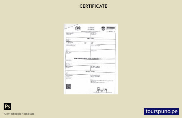 listo para imprimir plantilla de certificado de defunción del Departamento de  1