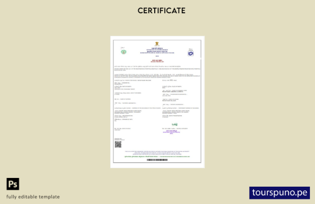 listo para imprimir plantilla de certificado de defunción del Departamento de sa