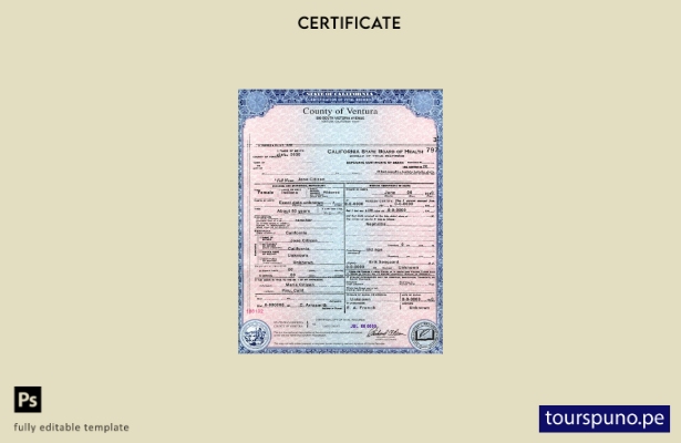listo para imprimir plantilla de certificado de defunción del condado de Ventura