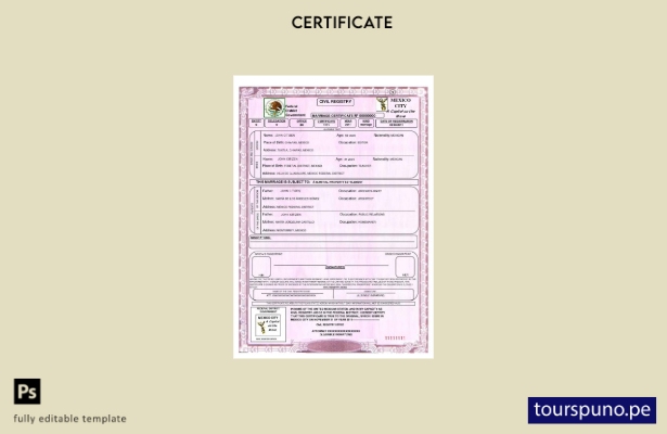 listo para imprimir plantilla de certificado de matrimonio del registro civil  1