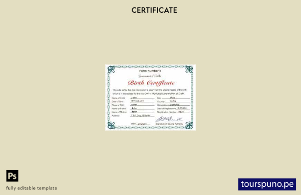 listo para imprimir plantilla de certificado de nacimiento del Gobierno de Delhi