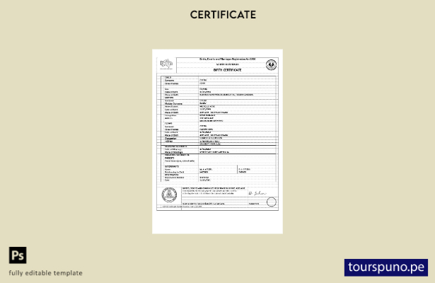 listo para imprimir plantilla de certificado de nacimiento del Territorio de la