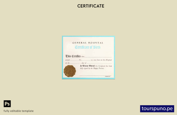 listo para imprimir plantilla de certificado de nacimiento del hospital general