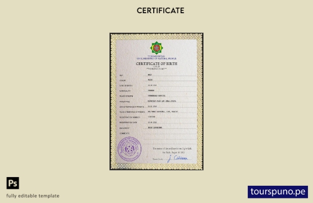 listo para imprimir plantilla de plantilla PSD de certificado de nacimiento de r
