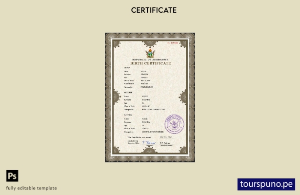 listo para imprimir plantilla de plantilla PSD de certificado de nacimiento de 9