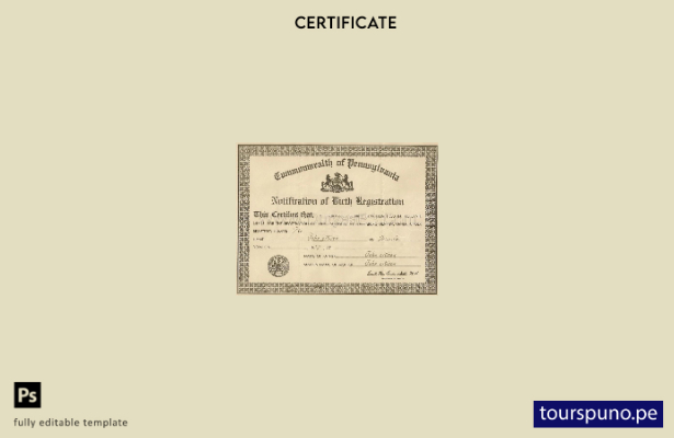 listo para imprimir plantilla de registro de nacimiento del certificado de la Co