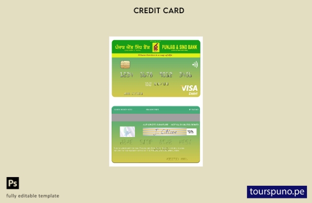 lista para imprimir plantilla de tarjeta de débito visa India Punjab y Sind Bank