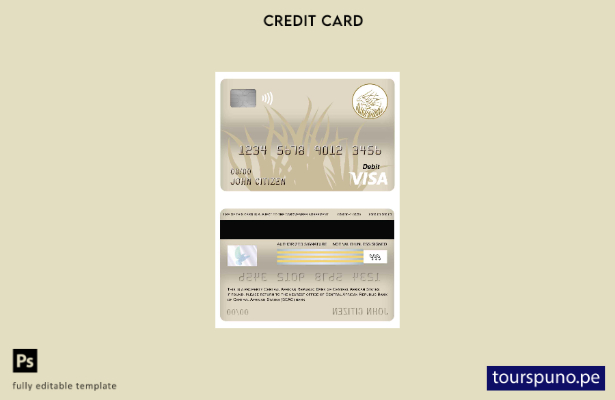 lista para imprimir plantilla de tarjeta de débito visa bancaria del Banco de lo