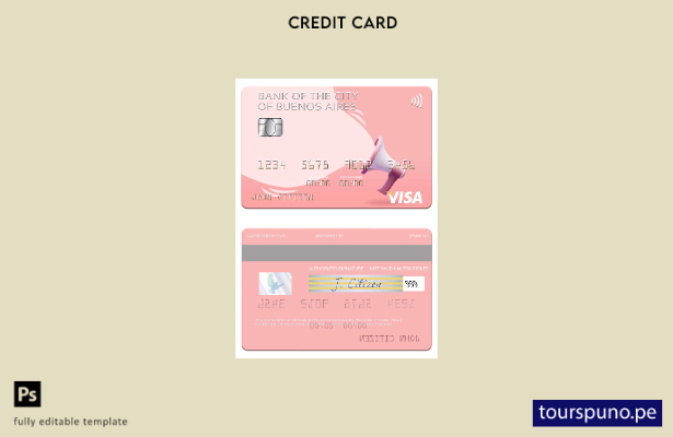 listo para imprimir modelo de tarjeta visa del Banco de la Ciudad de Buenos Aire