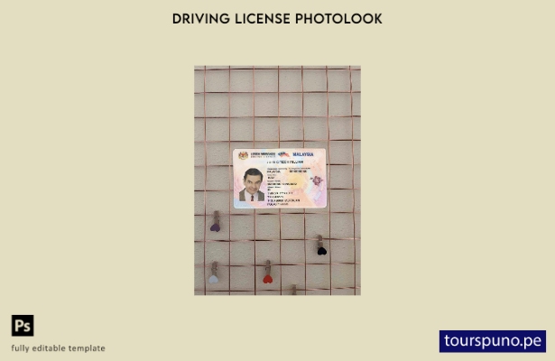 Plantilla FRONTAL de aspecto fotográfico DL de Malasia lista para imprimir