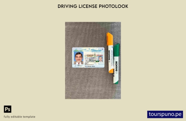 Plantilla FRONTAL lista para imprimir USA Tennessee DL photolook