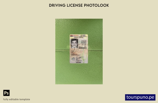 listo para imprimir EE. UU. Arizona con licencia de conducir presente plantilla