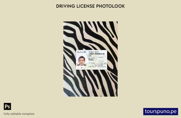 listo para imprimir Plantilla FRONTAL de aspecto fotográfico DL de Canadá Quebec